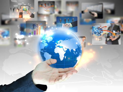 電子商務(wù)的商業(yè)模式淺析 以淘寶網(wǎng)為例及對(duì)企業(yè)軟件開(kāi)發(fā)的啟示